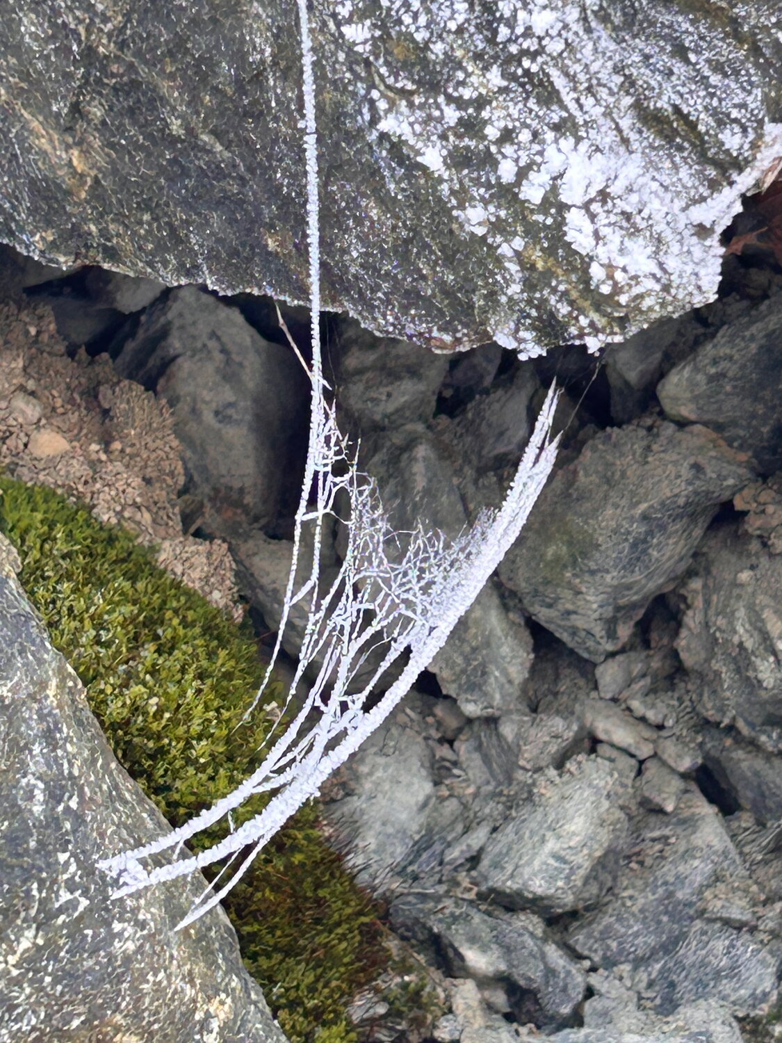 Stillleben im winterlichen Fels Luise Kloos