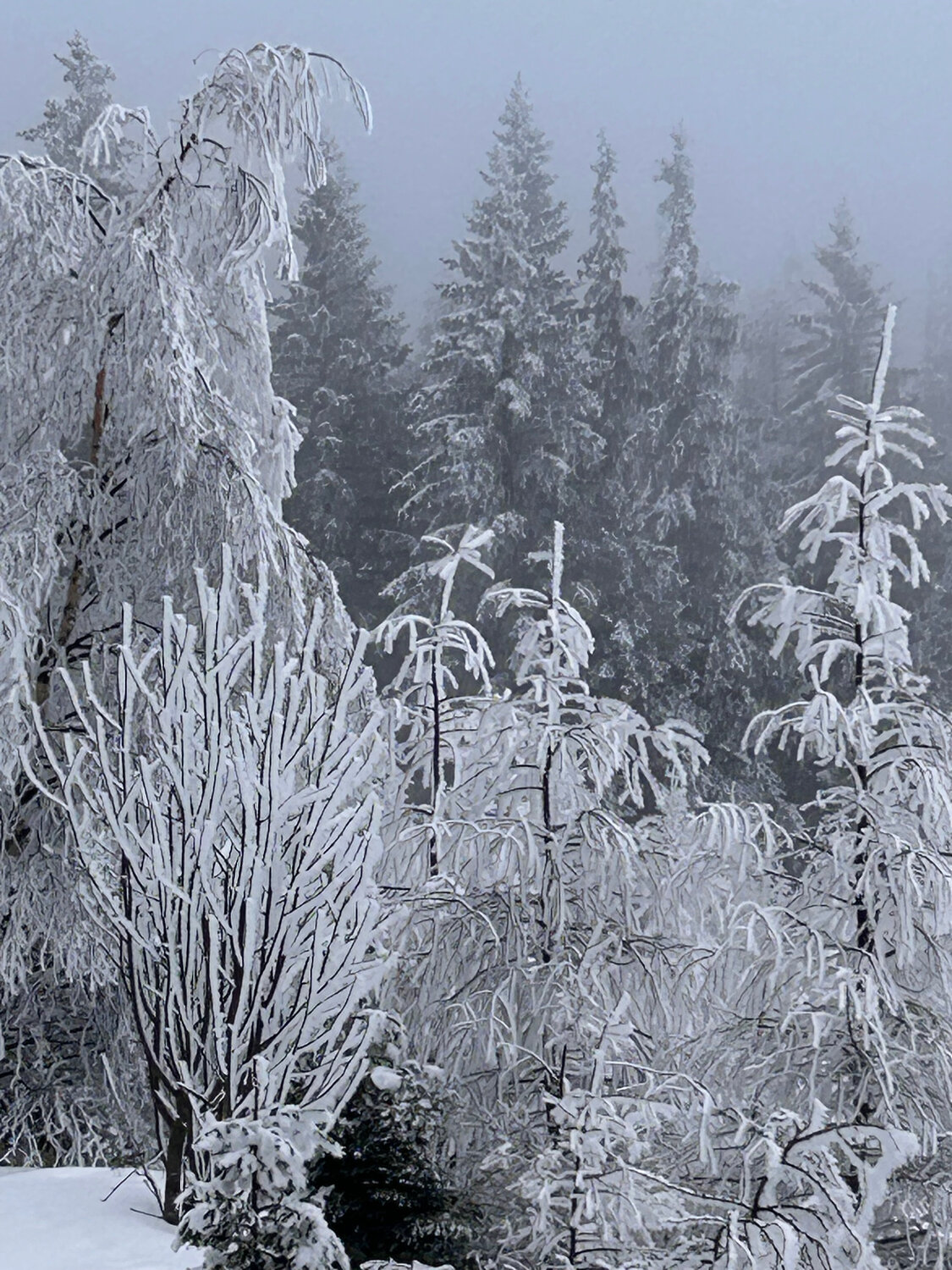 Zauber des Winters - Hochwald Luise Kloos