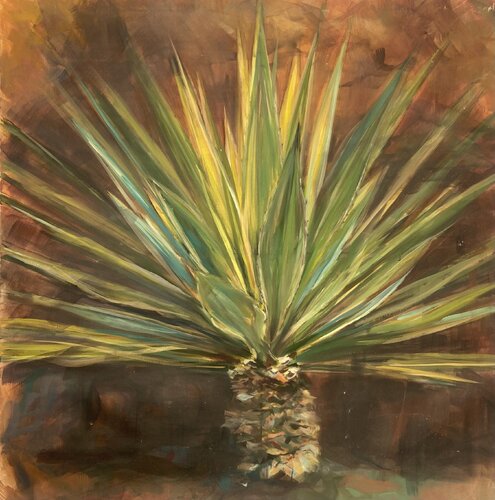 The Century Plant di Marcos Terol, Pittura in vendita su Singulart