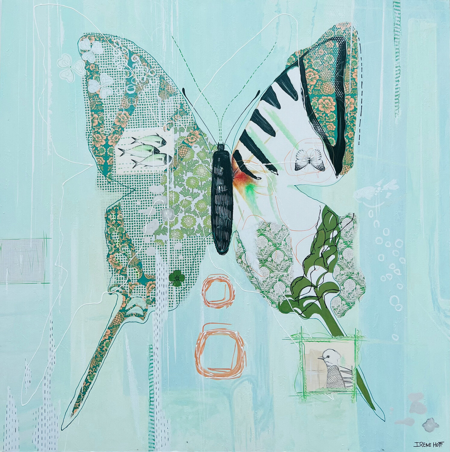 Vlinder Irene Hoff