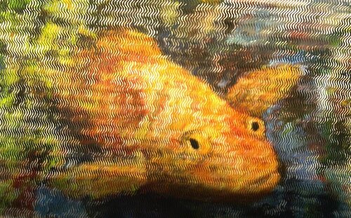 Poisson jaune von Sof - Sophie Voigt-Chadeyron, Malerei kaufen auf Singulart