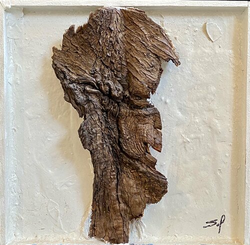 Profil écorcé - 30x30 - 2019 Sof - Sophie Voigt-Chadeyron