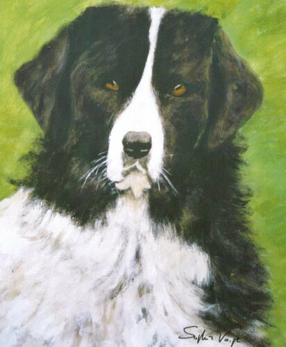 Baloo par Sof - Sophie Voigt-Chadeyron, Peinture en vente sur Singulart