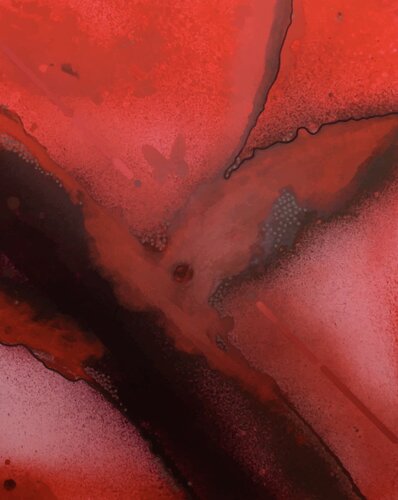 oiseau de paradis di Arnold Livingstone, Pittura in vendita su Singulart
