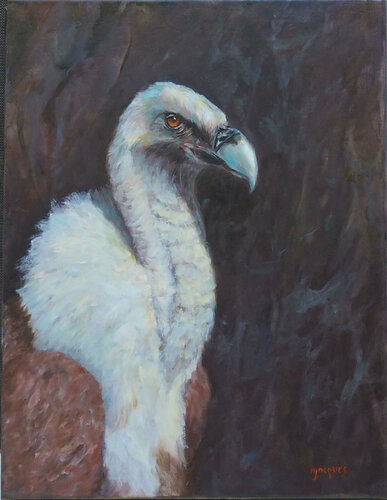 Le Vautour de Sylvie Ajacques, Pintura a la venta en Singulart