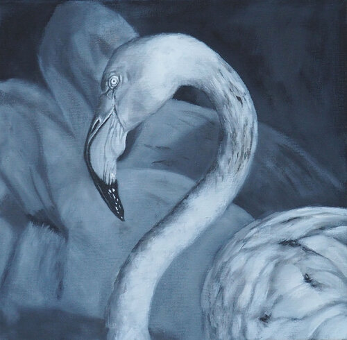 Flamand 4 Sylvie Ajacques