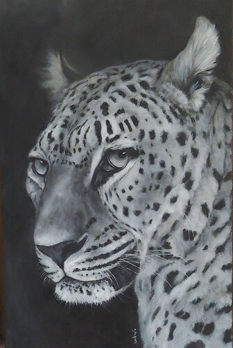 Léopard (noir et blanc) de Sylvie Ajacques, Pintura a la venta en Singulart