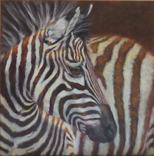 Portrait Zèbre de Sylvie Ajacques, Pintura a la venta en Singulart