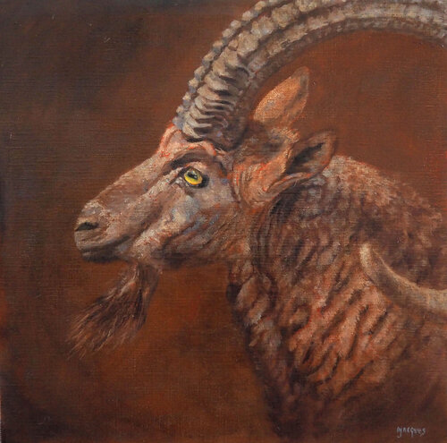 Mouflon di Sylvie Ajacques, Pittura in vendita su Singulart