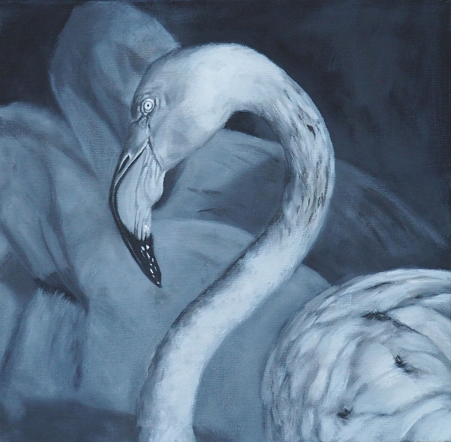 Flamand 4 Sylvie Ajacques