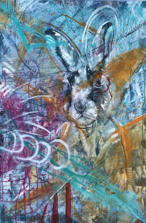 rabbit Sabrina Seck