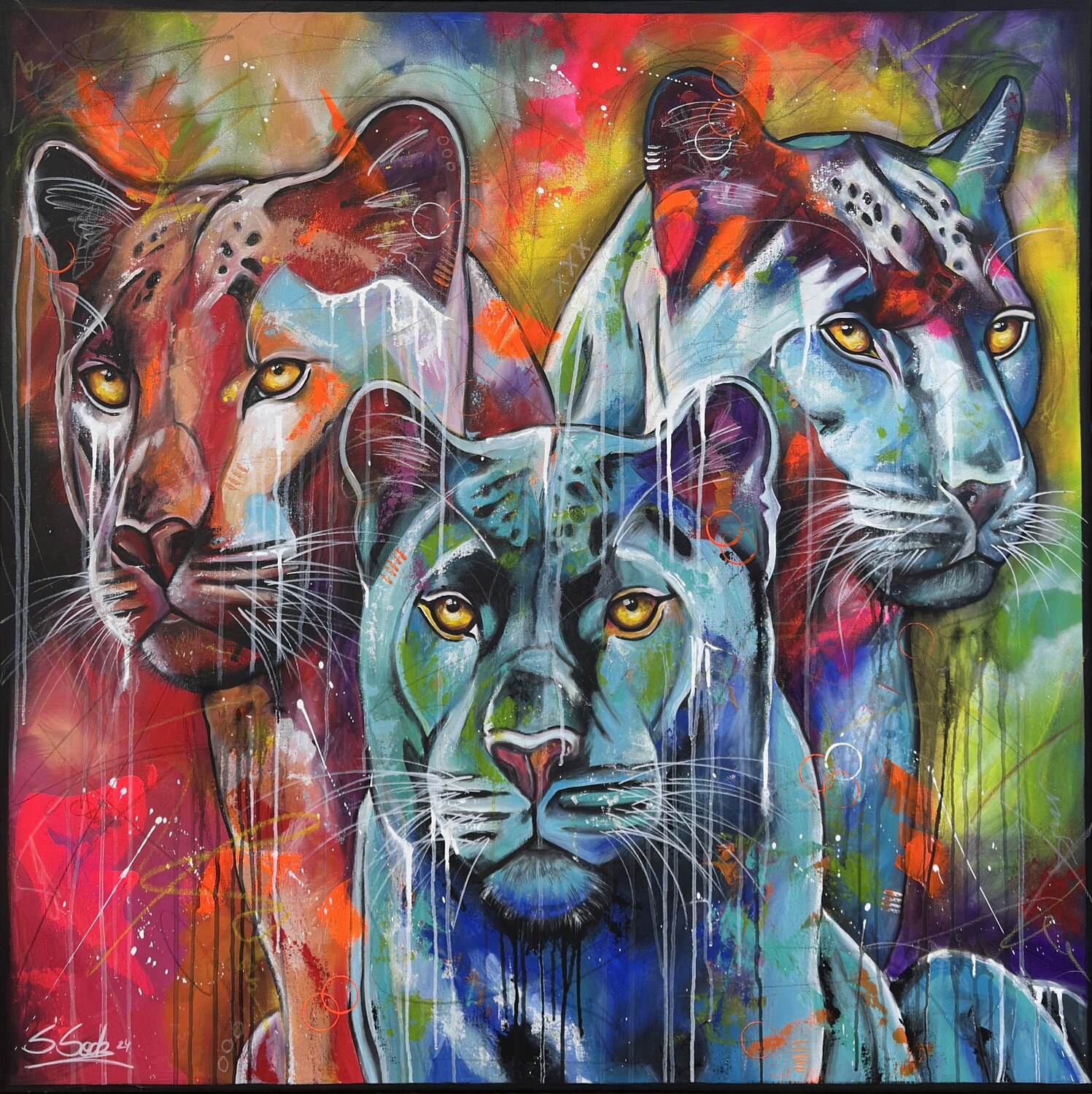 alertness Sabrina Seck