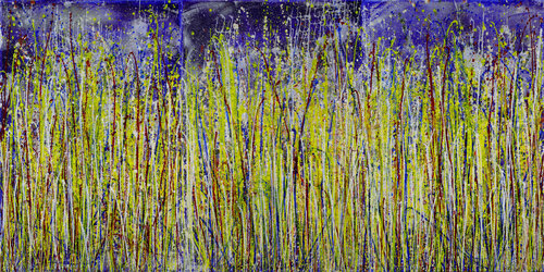 Sequel of a dream 3 (Starry night) Nestor Toro
