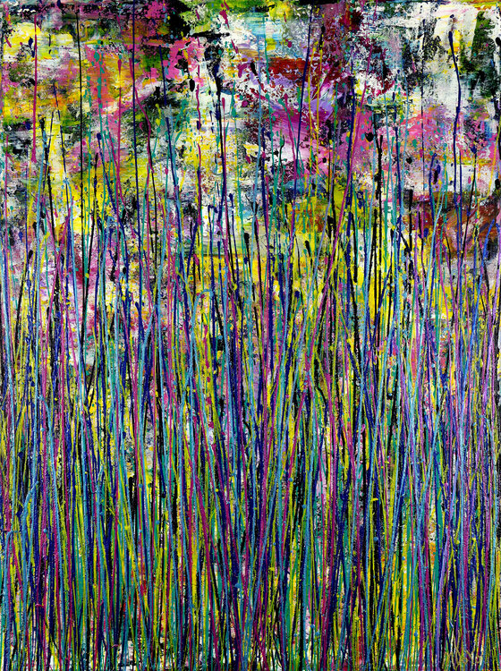 Spring frequencies Nestor Toro