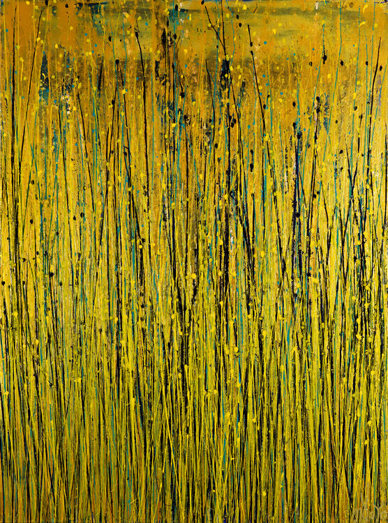 Una luce splendida (splendid light) Nestor Toro