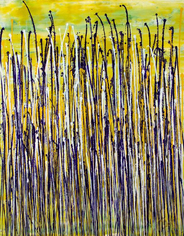 Glare garden (Purple and yellow reflections) Nestor Toro