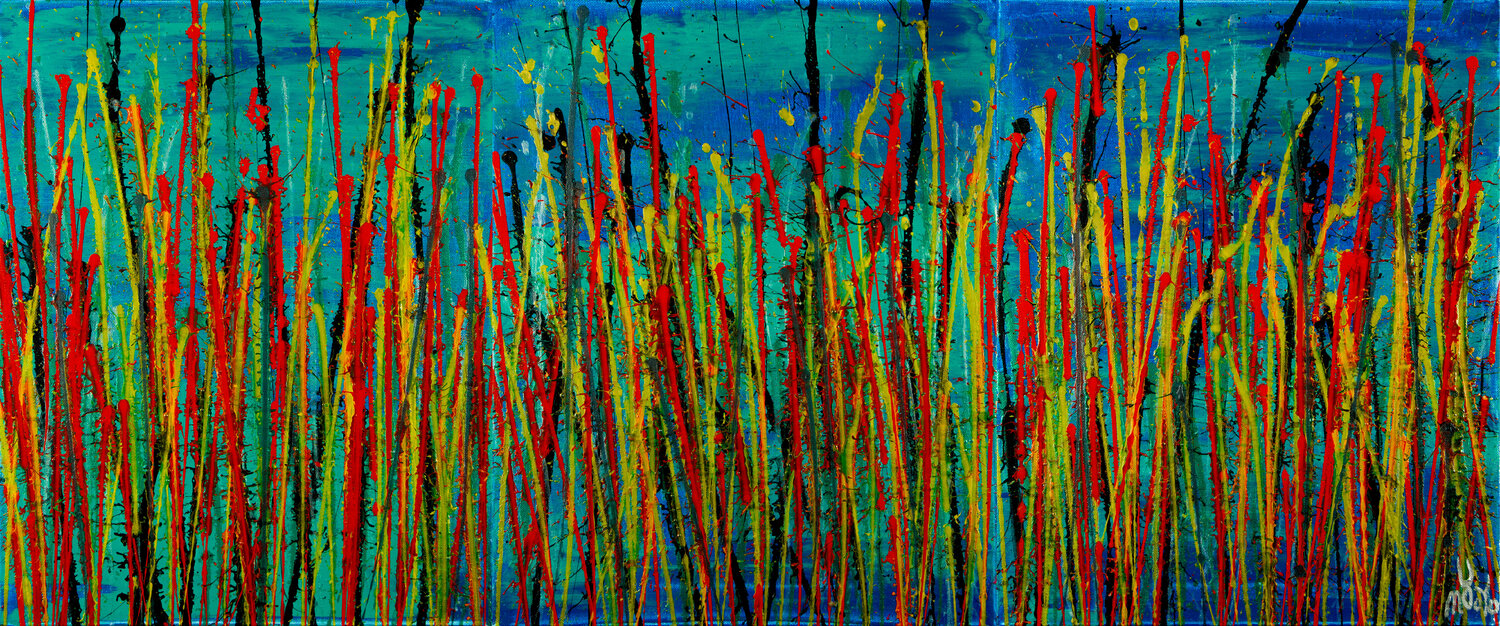 Natures imagery (scattering colors) 1 Nestor Toro