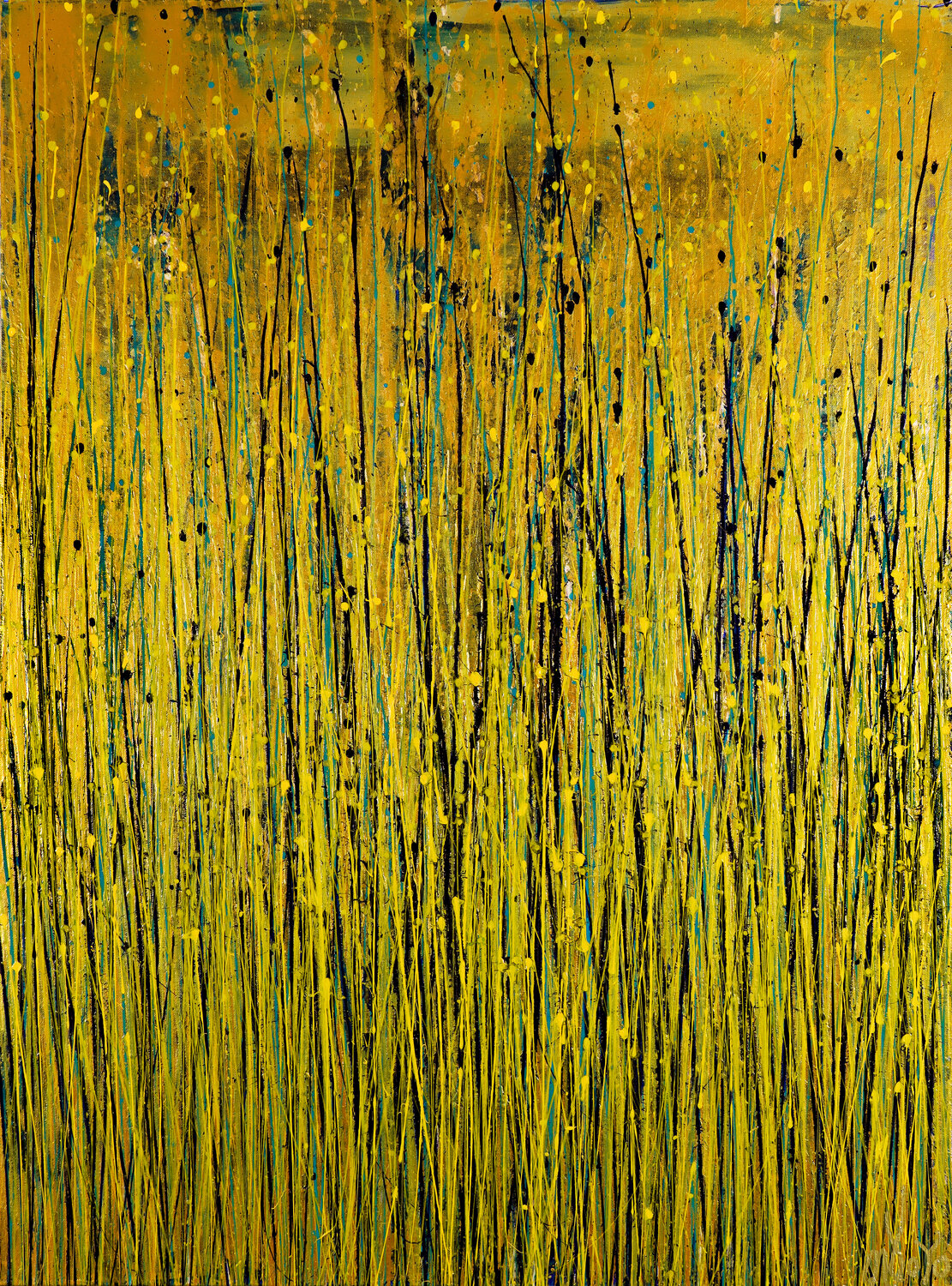 Una luce splendida (splendid light) Nestor Toro