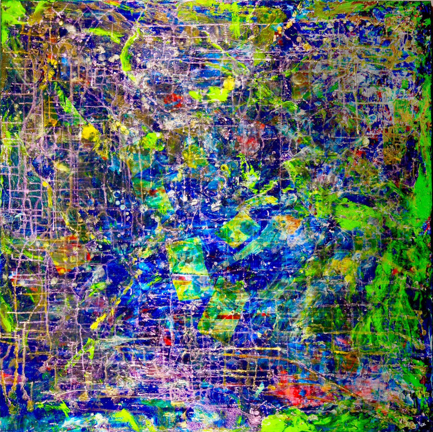 Rainforest dream 3 Nestor Toro
