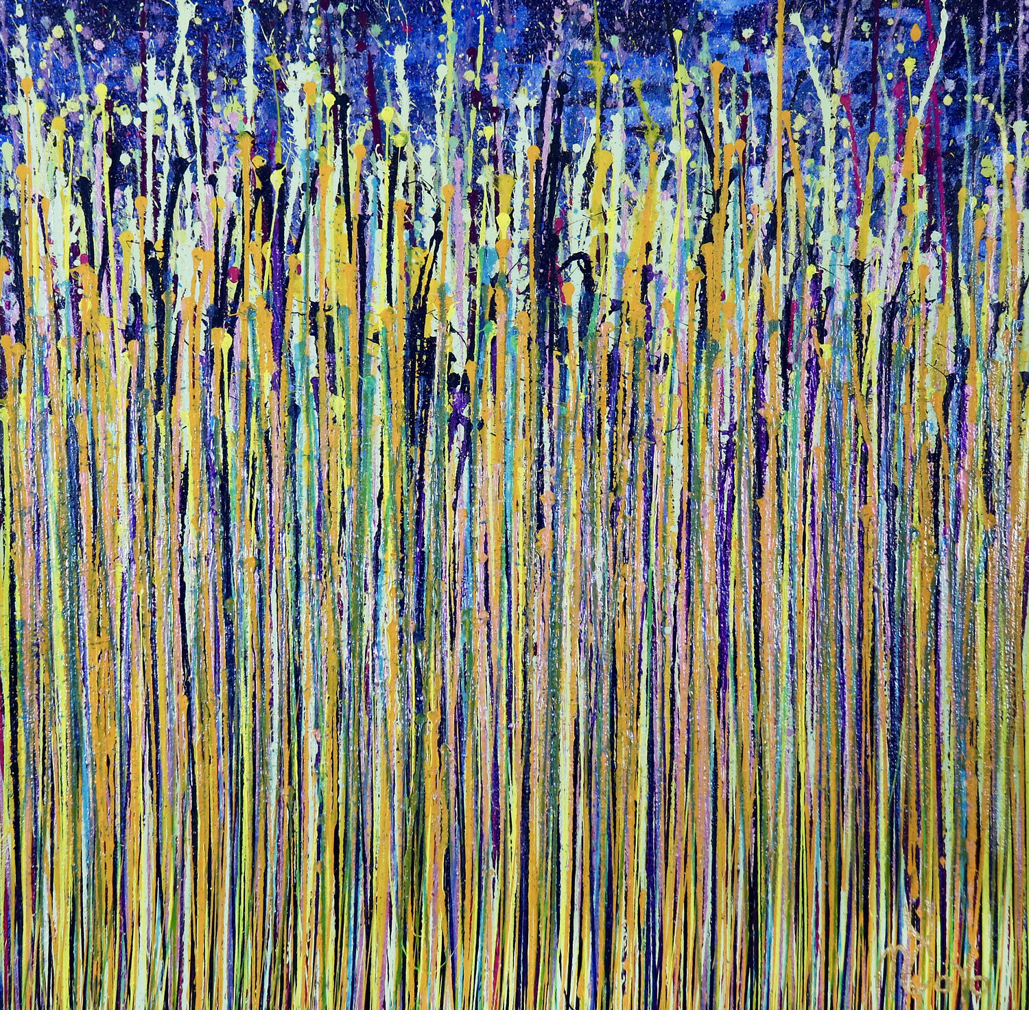 Daydream panorama (Natures imagery) 16 Nestor Toro