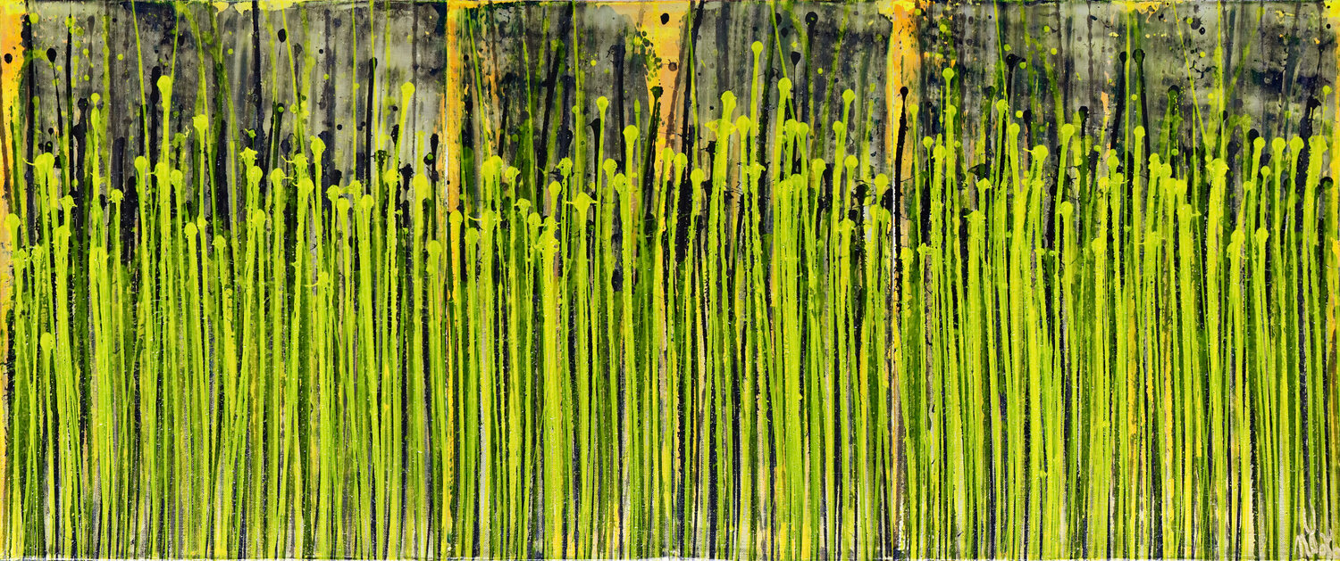 Daydream panorama (Natures imagery) 16 Nestor Toro