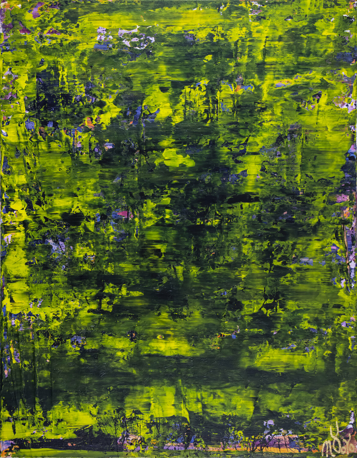 Borneo (Rainforest dream) Nestor Toro