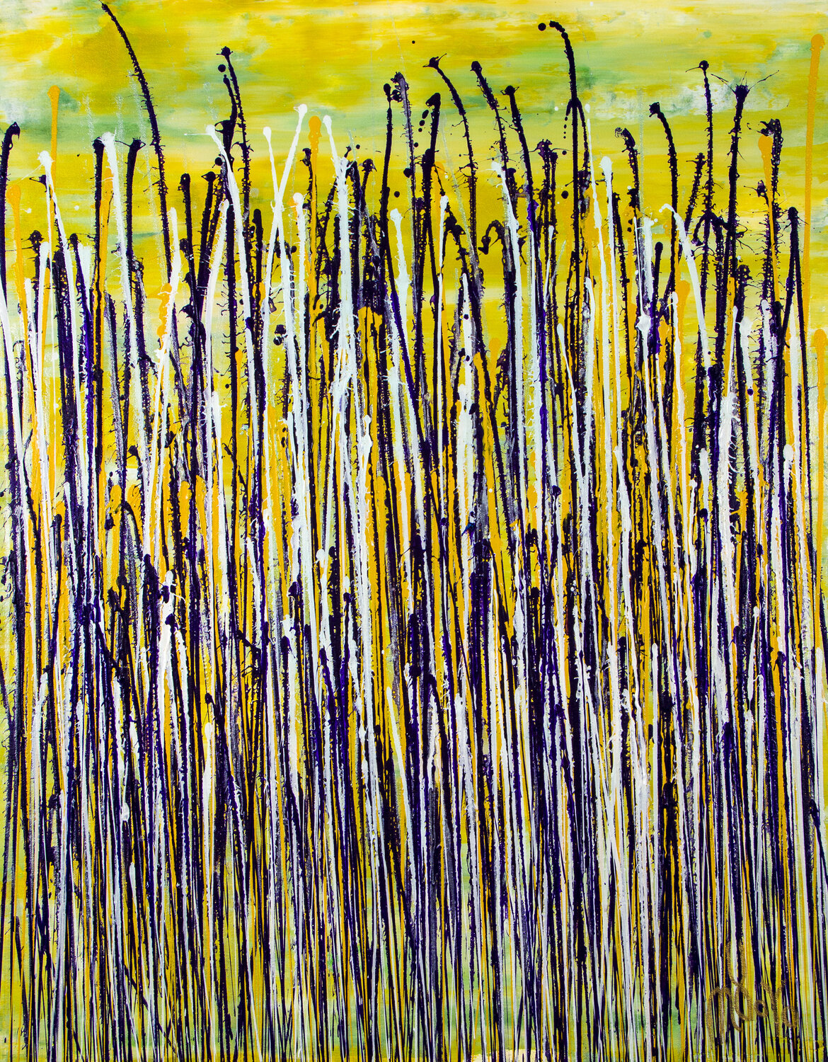 Glare garden (Purple and yellow reflections) Nestor Toro