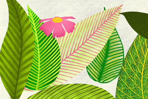 Leafology Sumit Mehndiratta