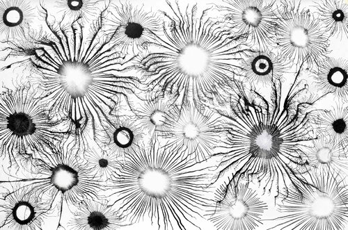 Exploflora Series No. 95 von Sumit Mehndiratta, Malerei kaufen auf Singulart