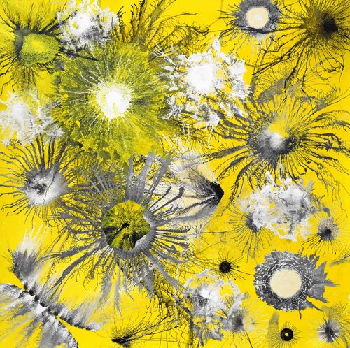 Exploflora Series No. 96 Sumit Mehndiratta