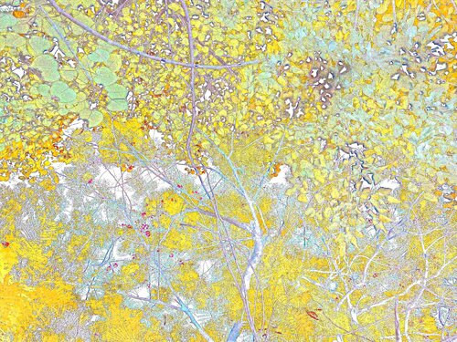 Summer of 21' van Sumit Mehndiratta, Fotografie te koop op Singulart