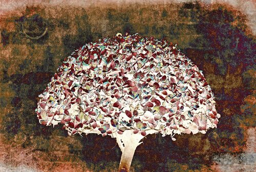 Leaf cloud di Sumit Mehndiratta, Fotografia in vendita su Singulart