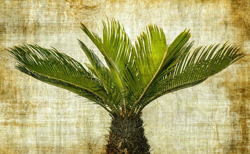 Spiked in green Sumit Mehndiratta