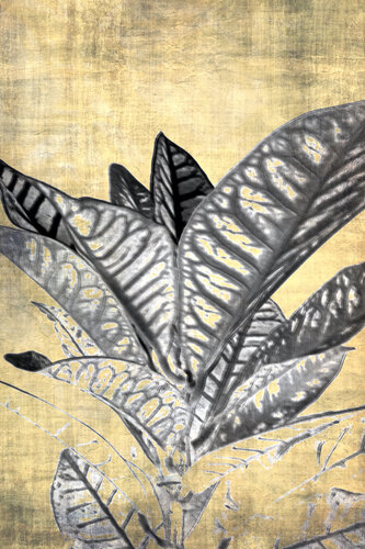 Industrial botanics von Sumit Mehndiratta, Fotografie kaufen auf Singulart