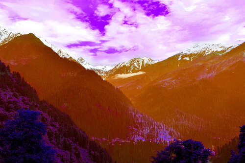 Magenta phenomenon de Sumit Mehndiratta, Fotografía a la venta en Singulart