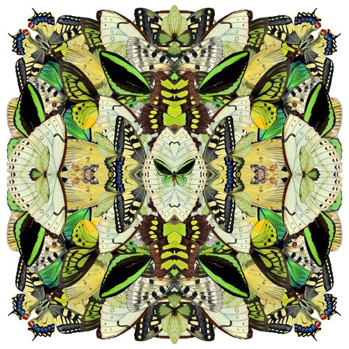 Spring Metamorphosis van Sumit Mehndiratta, Digitaal te koop op Singulart