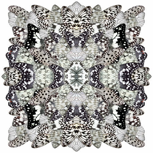 Monochromatic Metamorphosis van Sumit Mehndiratta, Digitaal te koop op Singulart