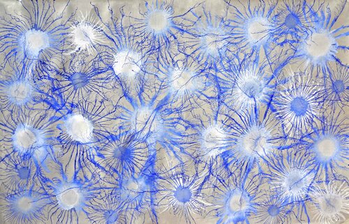 Exploflora Series No. 75 Sumit Mehndiratta