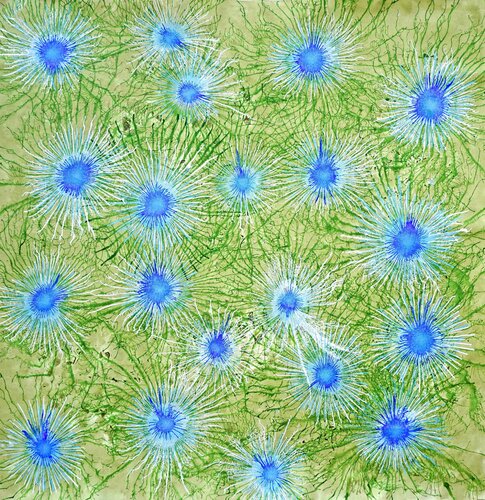 Exploflora Series No. 80 van Sumit Mehndiratta, Schilderij te koop op Singulart