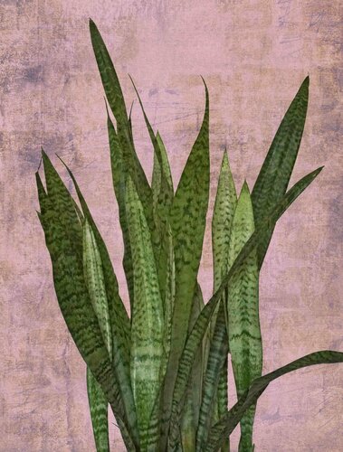 Botanic beauty 1 von Sumit Mehndiratta, Fotografie kaufen auf Singulart
