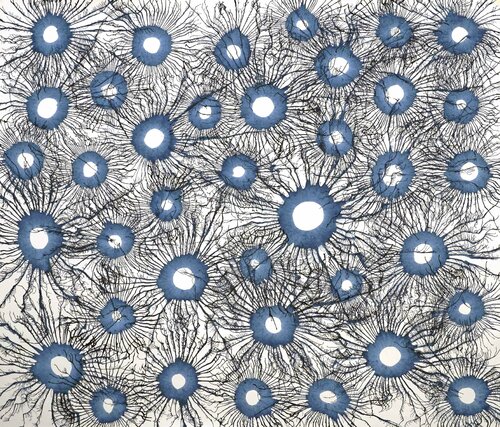 Exploflora Series No. 84 di Sumit Mehndiratta, Pittura in vendita su Singulart