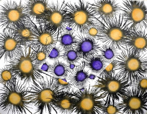 Exploflora Series No. 88 Sumit Mehndiratta