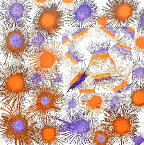 Exploflora Series No. 90 Sumit Mehndiratta