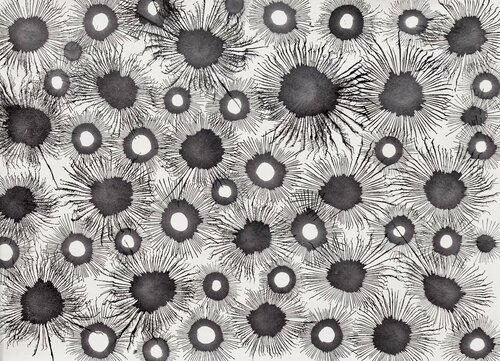 Exploflora Series No. 91 van Sumit Mehndiratta, Schilderij te koop op Singulart