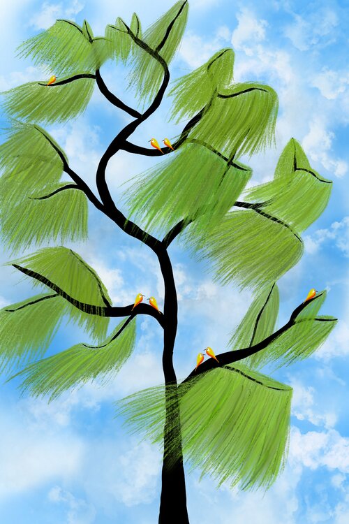 Birds by the willow Sumit Mehndiratta