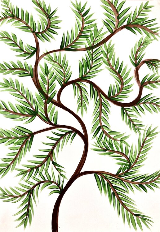 Curry leaf plant Sumit Mehndiratta