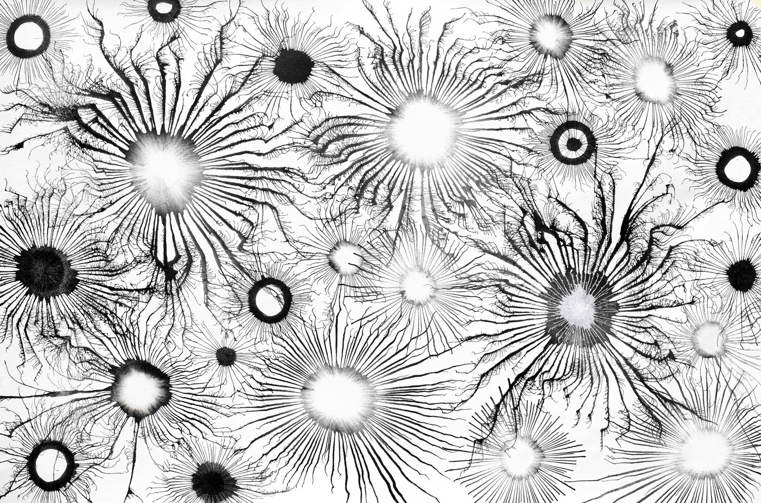 Exploflora Series No. 95 Sumit Mehndiratta