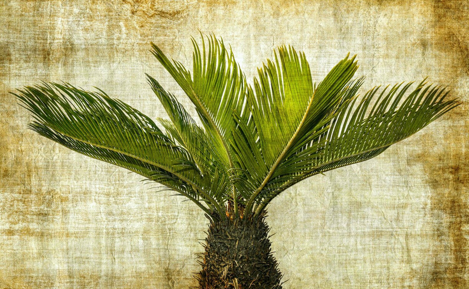 Spiked in green Sumit Mehndiratta
