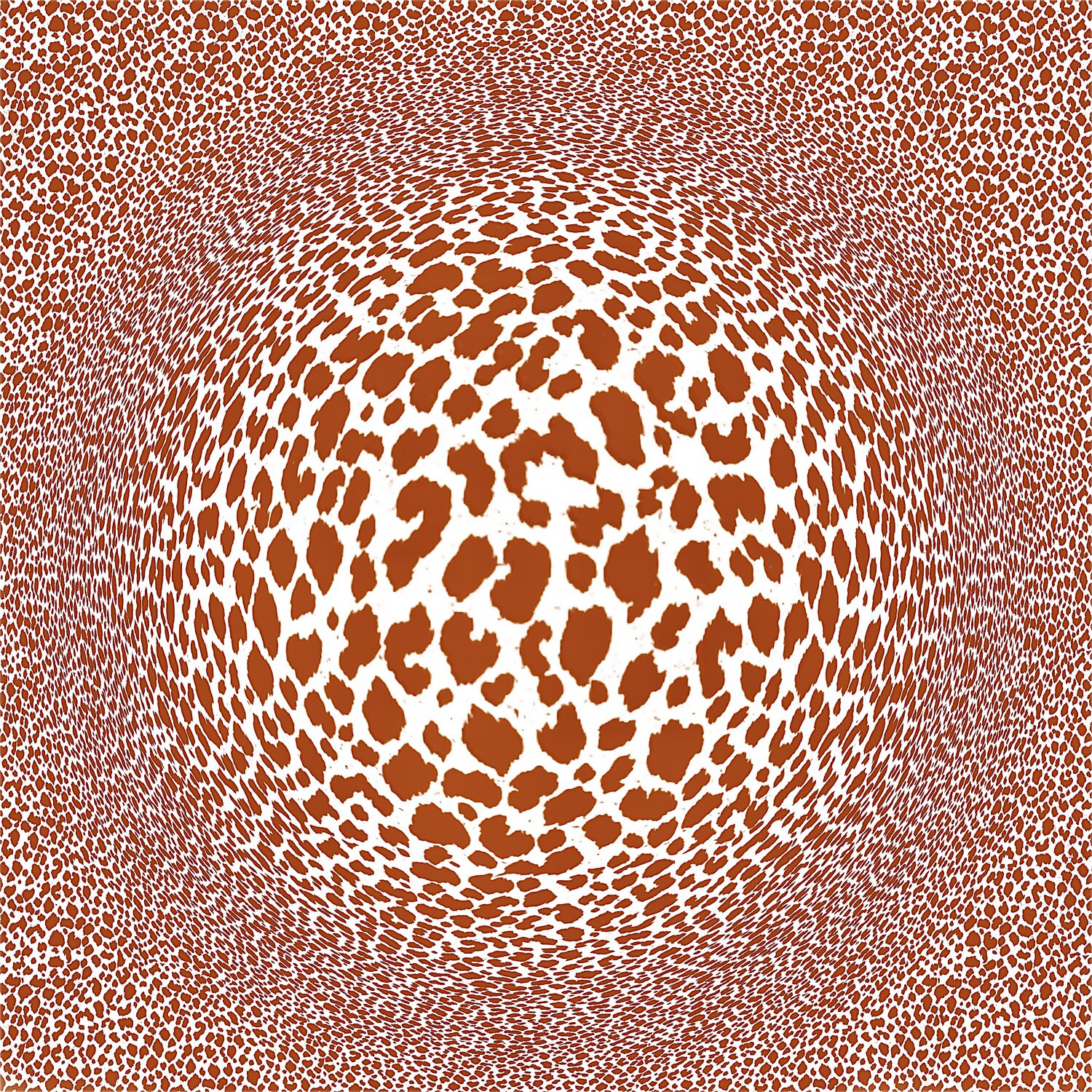 Safari illusion Sumit Mehndiratta