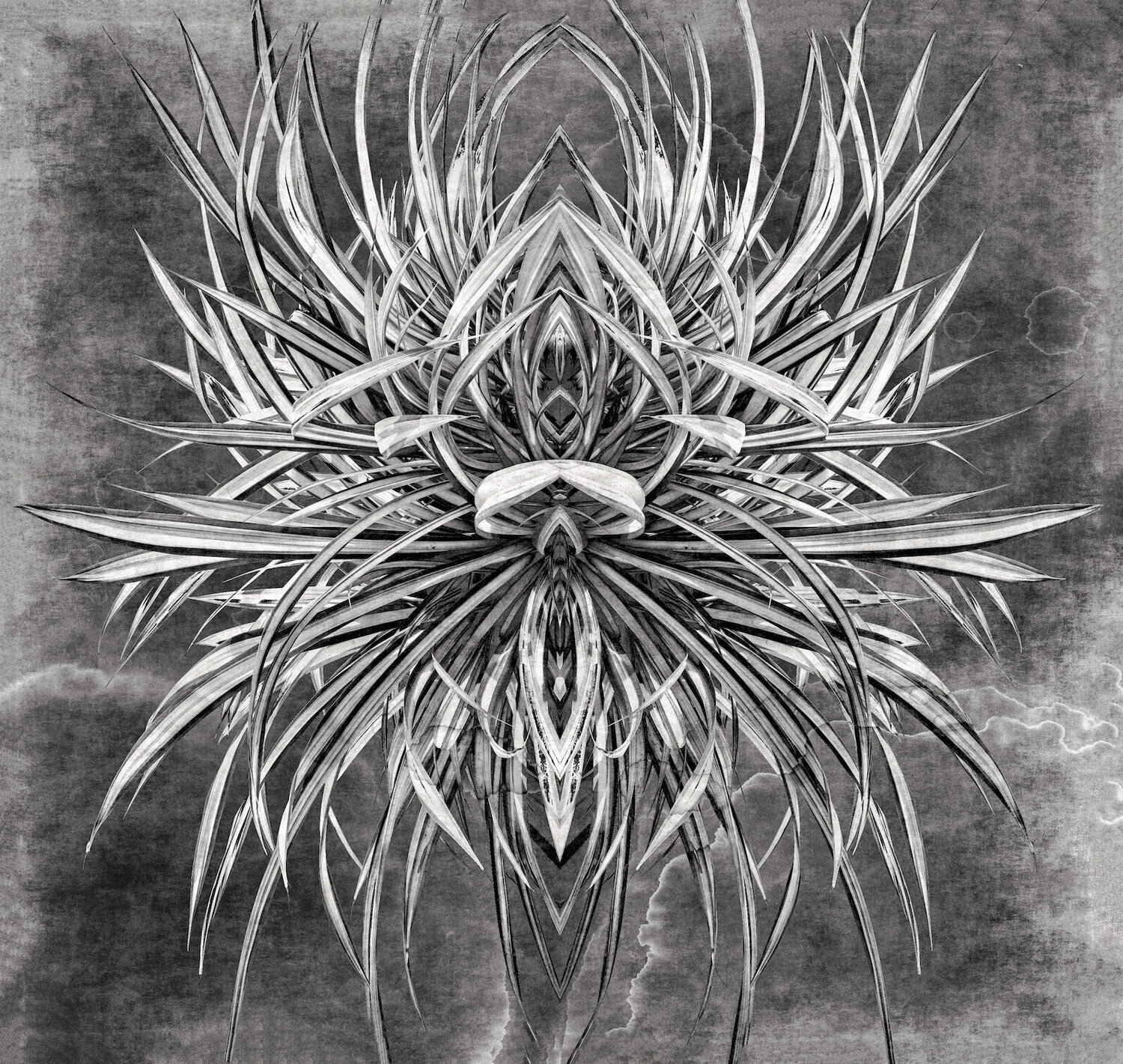 Extraterrestrial plantation Sumit Mehndiratta